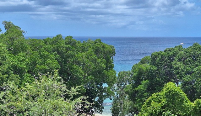 201 Batts Rock Beach Condos 1 Bedroom