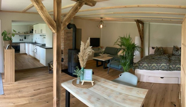 Apartment for 2 guests with 48m² in Dresden (272762)