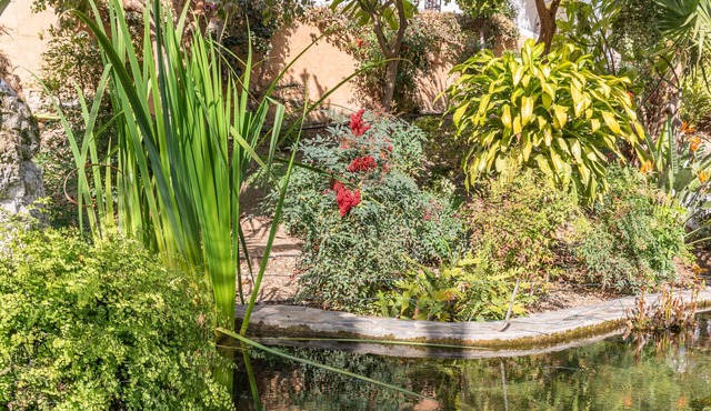 Baya de Nerja - Oasis Properties