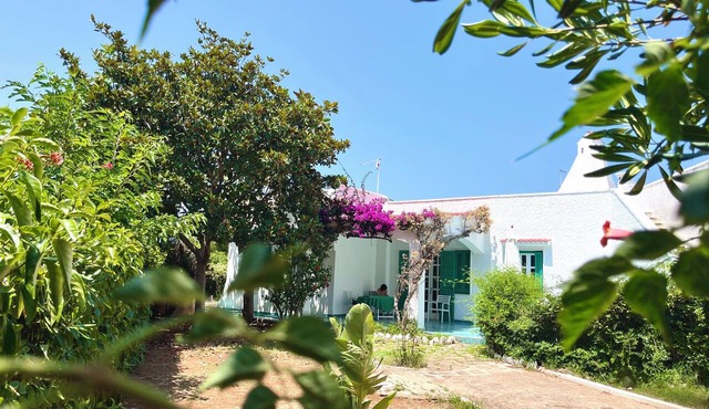 Charming, light-filled Mediterranean Villa – sleeps 2-6, only 250 m from the Sea