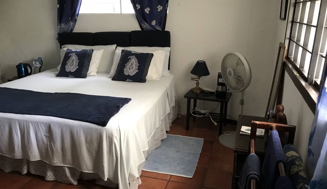 ECO FRIENDLY QUAINT PALMETTO Studio