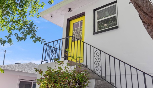 Experience the Vibrant Downtown St Pete!