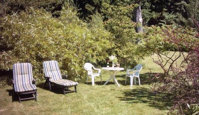 Holiday apartment Bad Freienwalde for 1 - 2 persons - Holiday apartment
