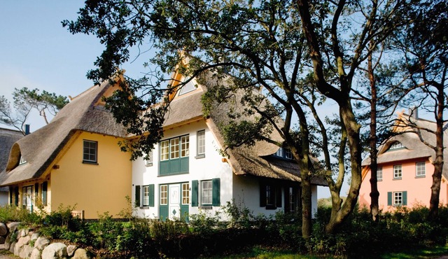 Holiday home for 6 guests with 100m² in Dierhagen (126973)