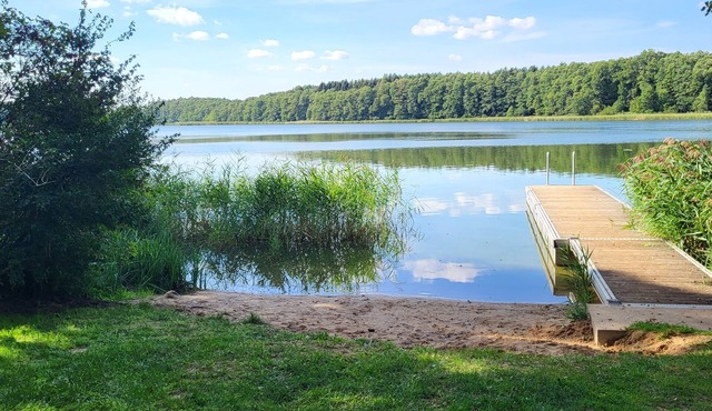 Holidays at Godendorfer See 300m, rowing boat, dog on request, fireplace, 2x toilet, 2 bedrooms