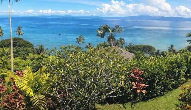 luxury Oceanview Villa - Complete Privacy, "Blue Bayou" with Starlink.