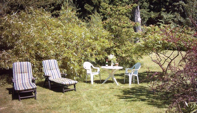 Rest and relaxation, right on the mid-lake, home, app, DZ, EZ