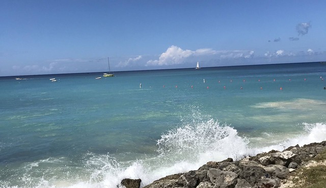 Spring Bookings! Anidele Bliss - 1 BR near Beach/Pool ⭐️ In walkable Holetown.