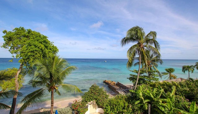 Stunning 2-bed Beachfront Condo on Payne's Bay