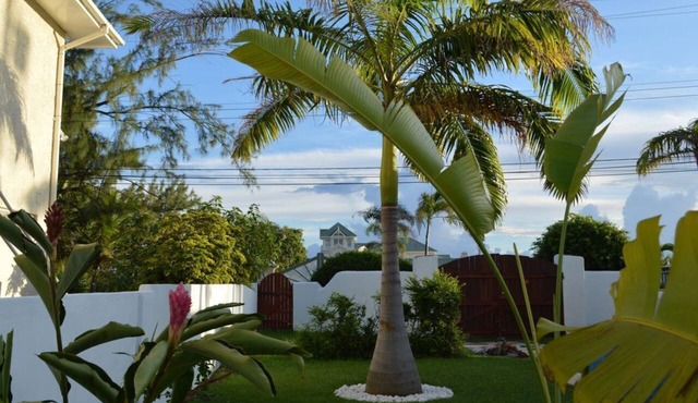 Tropical Gecko Studio - Only 80 meters from the Ocean!