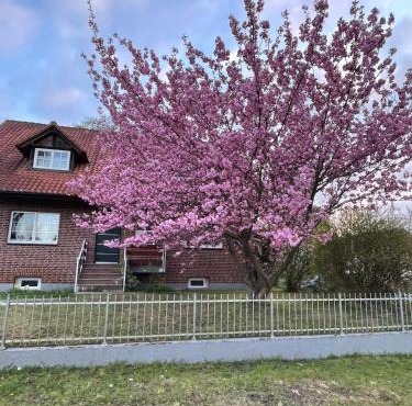 Vacation apartment between Berlin and Potsdam, 60 Quadratmeter mit glasfaser und Netflix