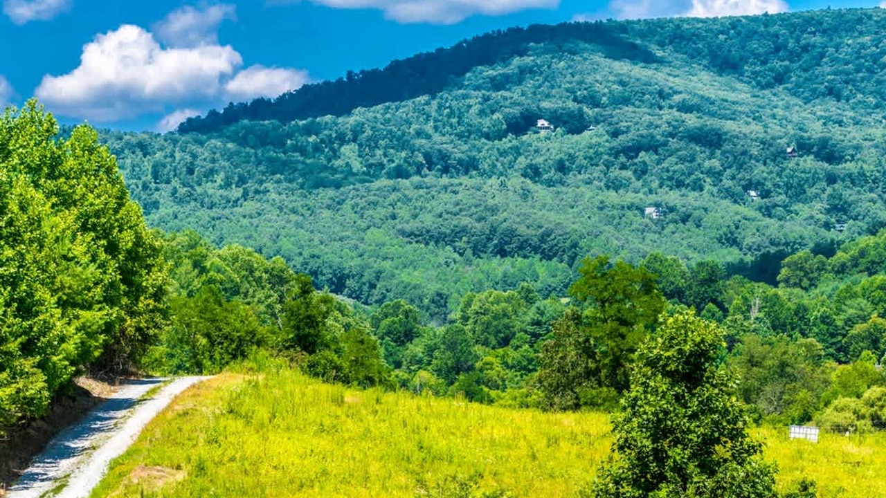 Photo of Others in Hendersonville