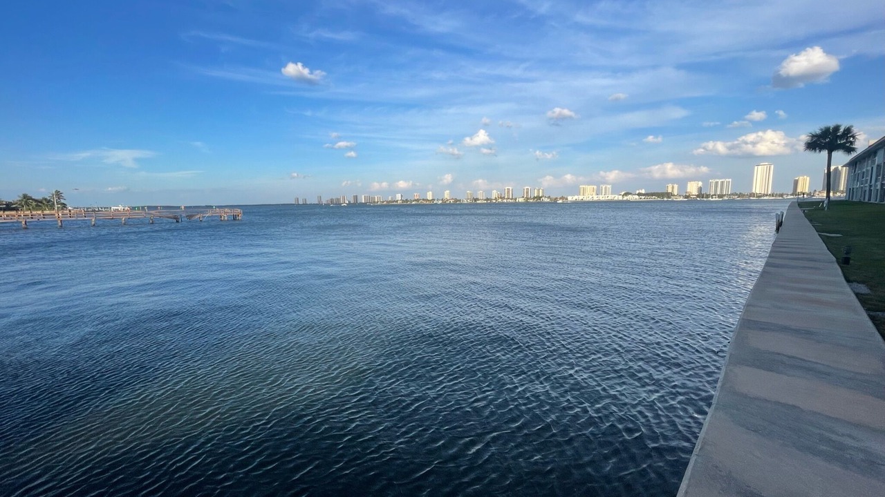 Photo of Others in Florida North Atlantic Coast