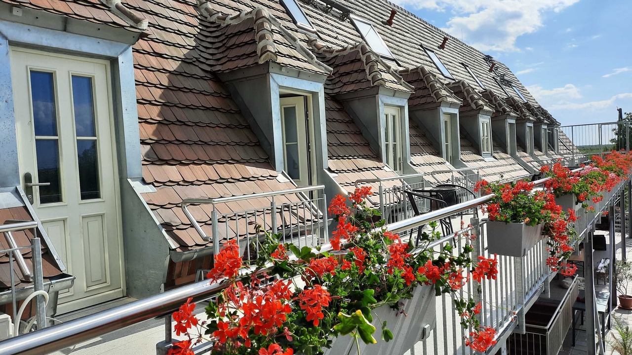 Photo of Outdoor in Senftenberg