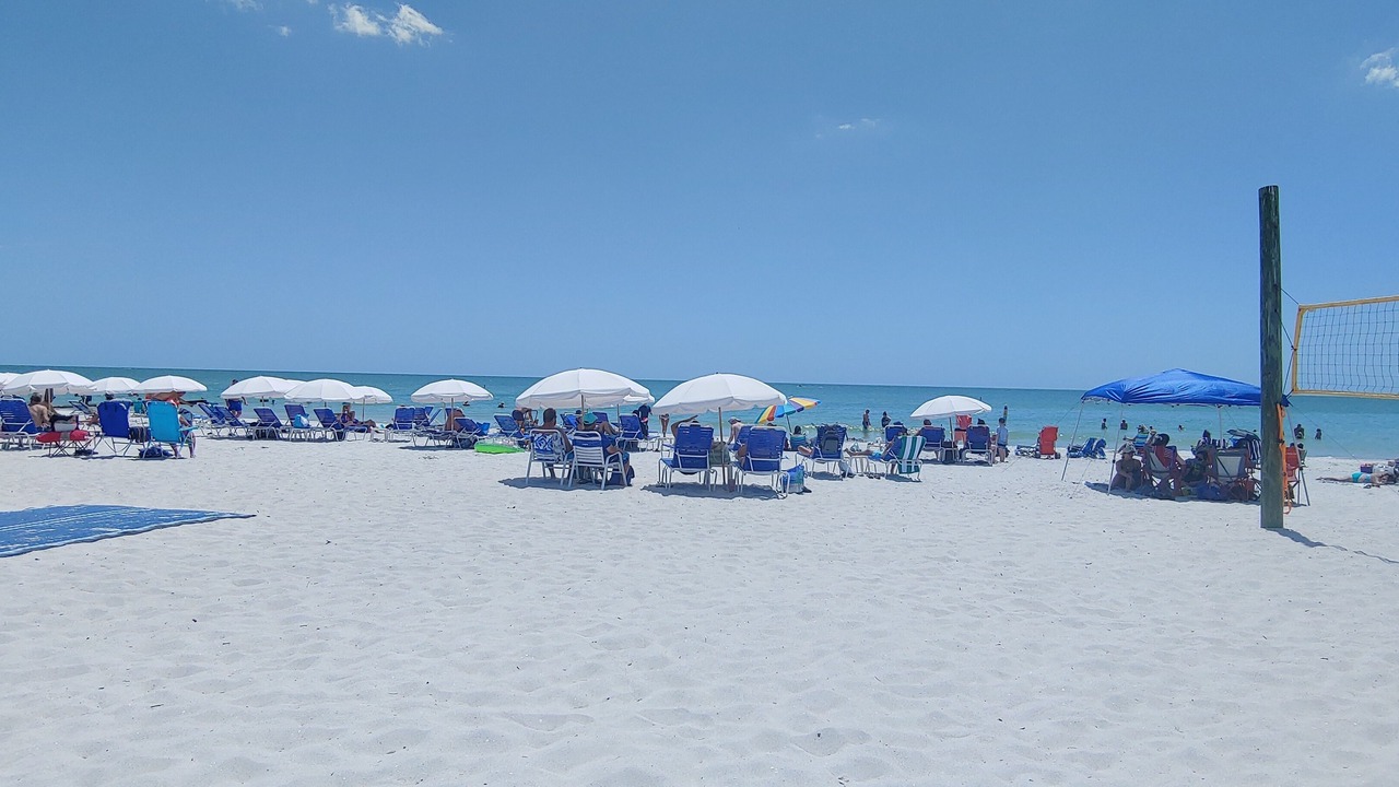 Photo of Others in Clearwater