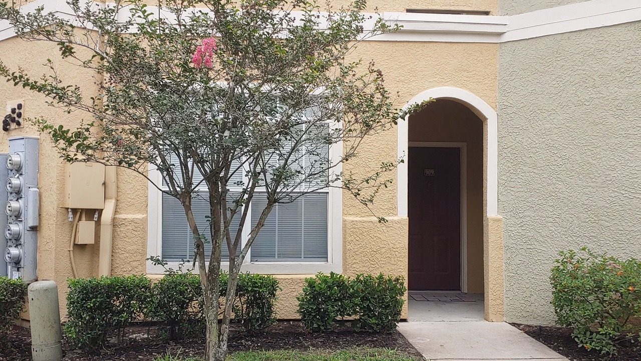 Photo of Outdoor in Clearwater