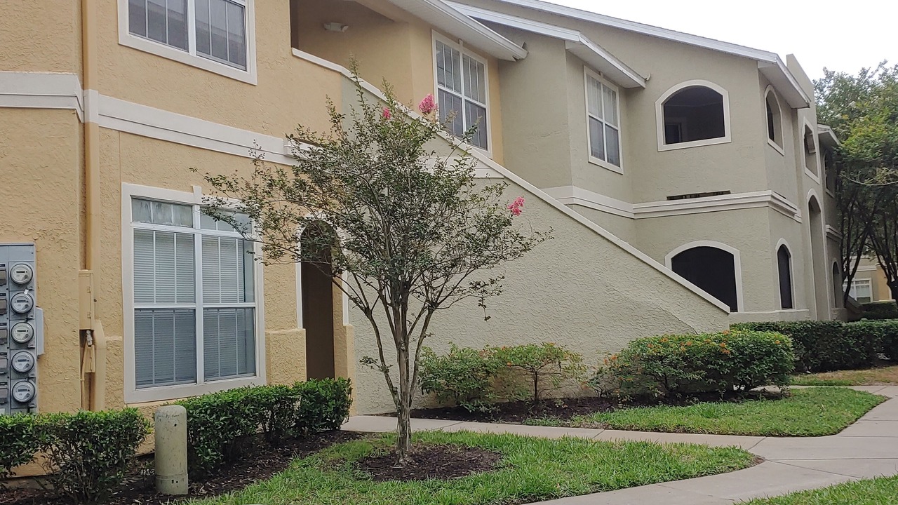 Photo of Outdoor in Clearwater