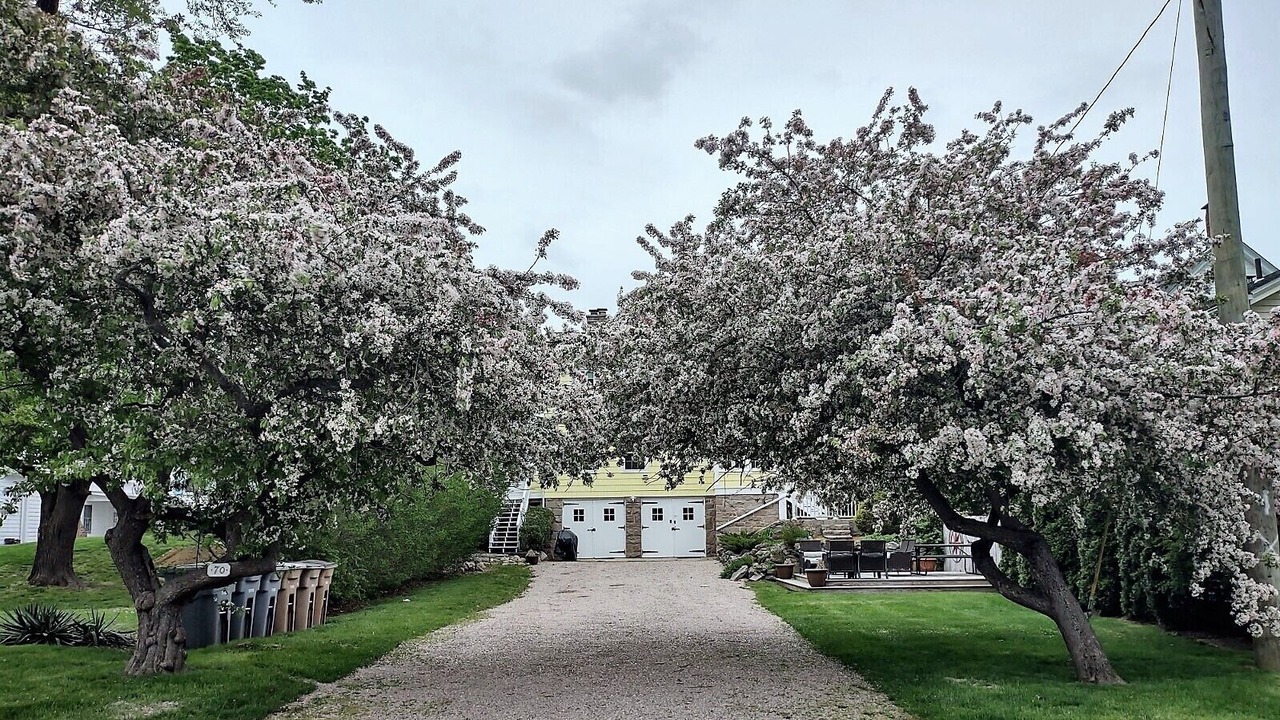 Photo of Outdoor in Niantic