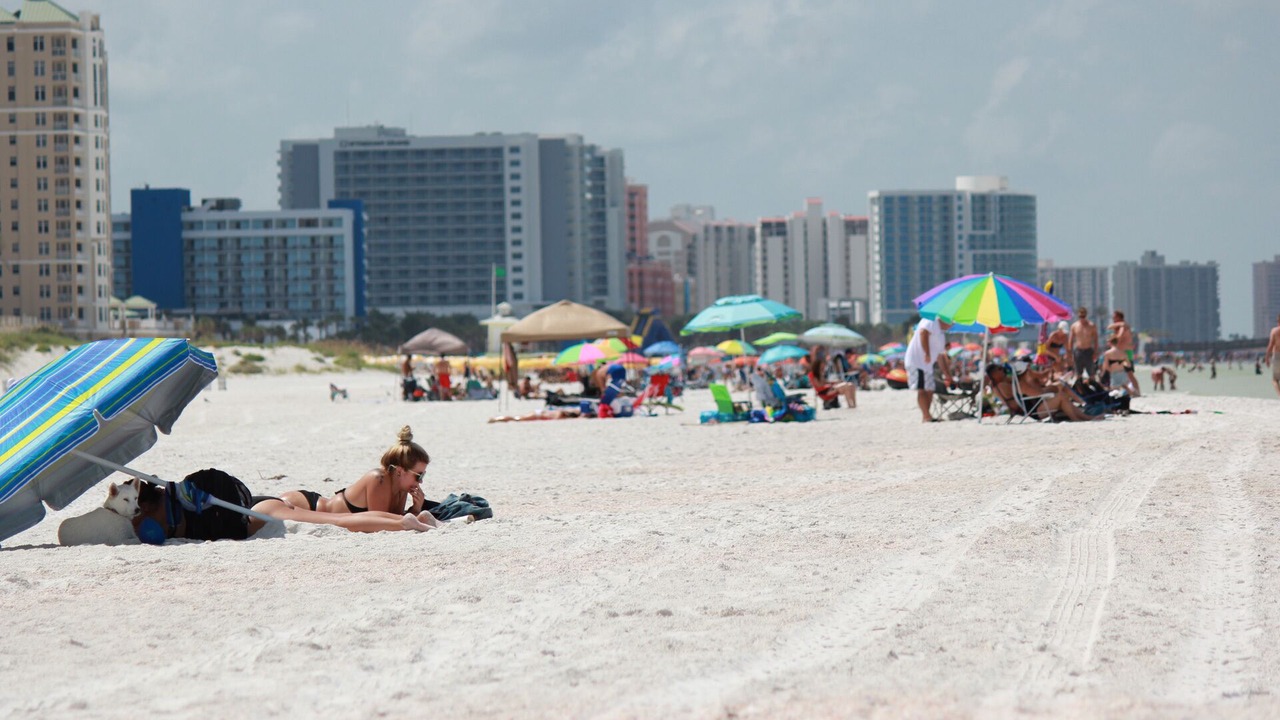 Photo of Others in Clearwater