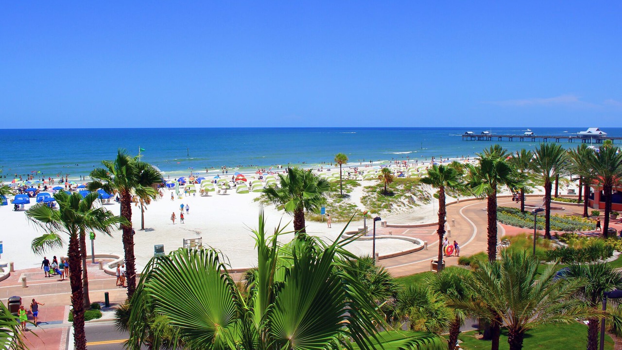 Photo of Others in Clearwater