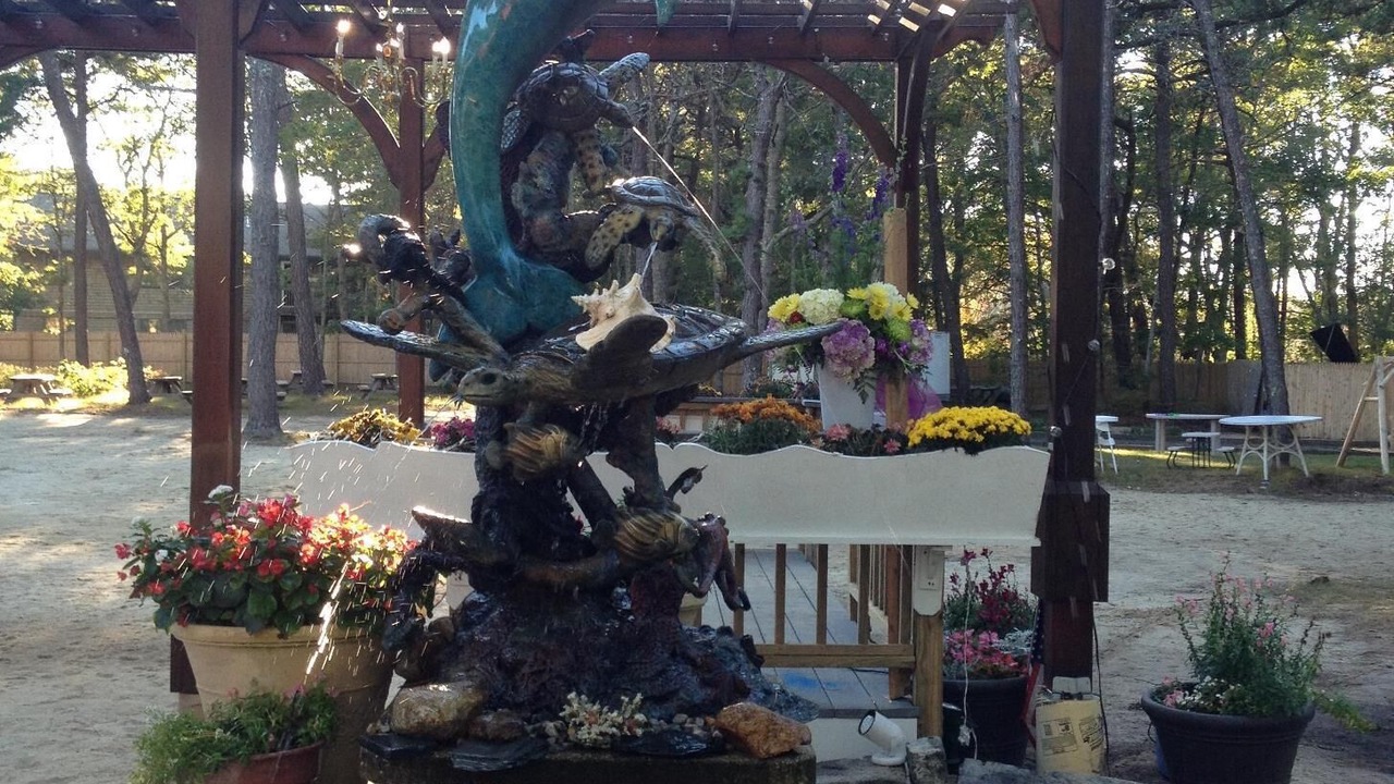 Photo of Outdoor in Bass River