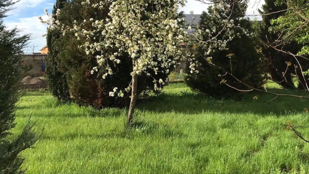 Photo of Outdoor in Jessen
