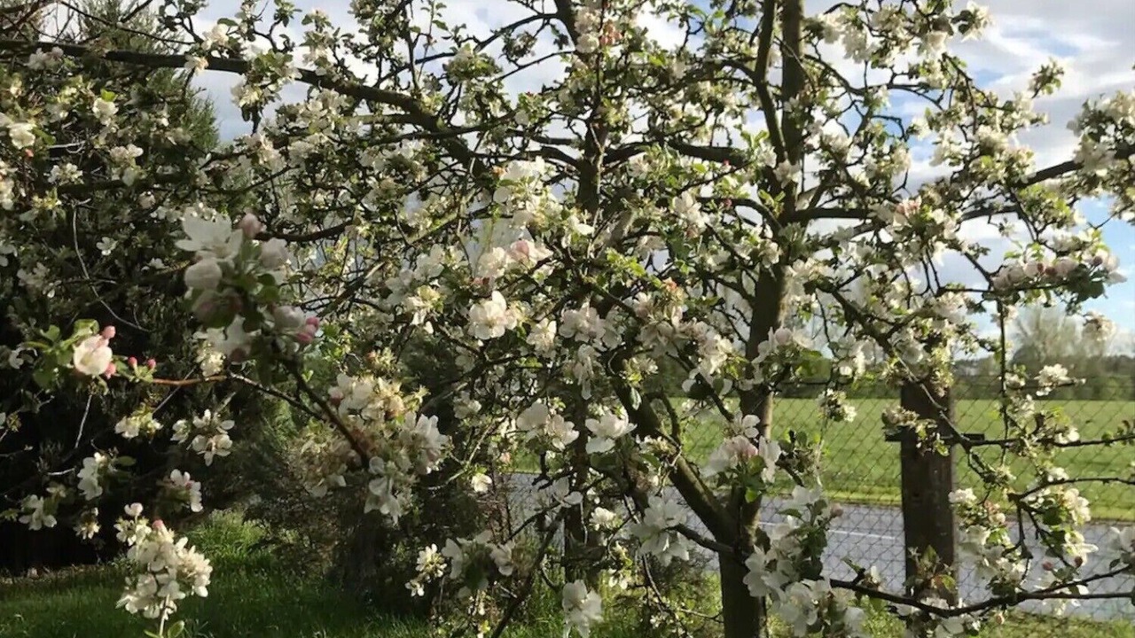Photo of Outdoor in Jessen