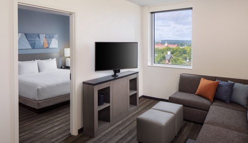 Suite, 1 King Bed with Sofa bed